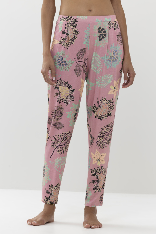 17353_427_2 17353_427_2