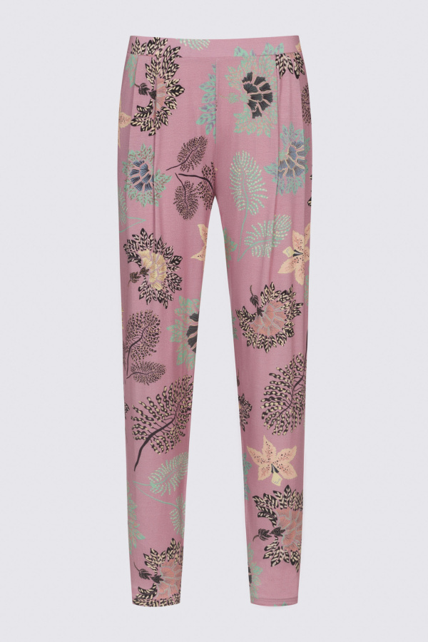 17353_427_5 17353_427_5