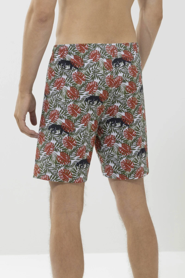 31149-776_back_800x1200