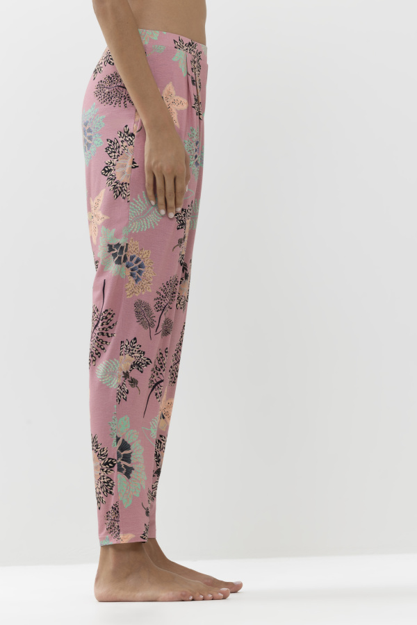 17353_427_3 17353_427_3